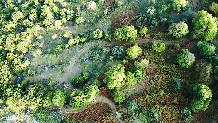 나무 도로 길 여행 백그라운드 2 모션 자연 산 거리 안테나 사람없음 초록색 여름 운전 화물 시골 정상 숲 슛 지역 항공촬영 드론 4K MOV 해외동영상 클립영상 식물 계절 뷰포인트 컬러 통신 교통시설 운송업 생태계 동영상 파일형식