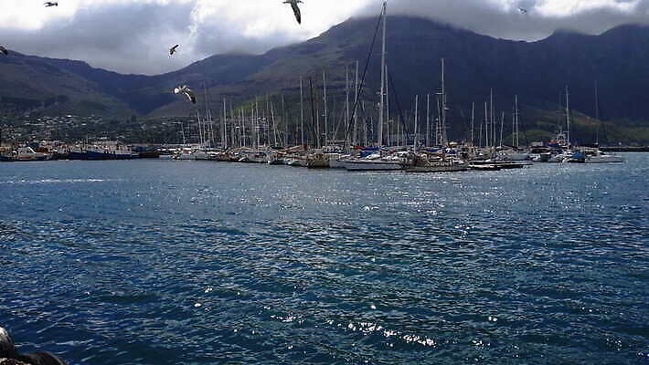 파도 바다 여행 아프리카 자연 휴가 산 주택 파노라마 풍경 사람없음 야외 물 여름 도시풍경 여행객 항구 도시 만 대서양 남쪽 남아프리카 랜드마크 서쪽 4K MOV 해외동영상 클립영상 자연요소 계절 나라 교통시설 촬영기법 사람 건물 방향 생태계 동영상 파일형식
