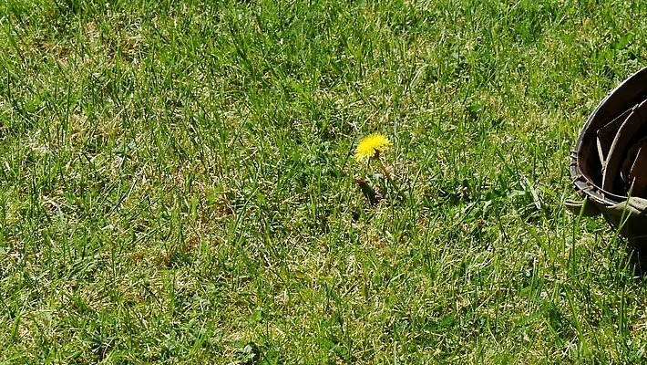 무기 사람없음 초록색 미국 장비 수확 보호 헬멧 충돌 군용 싸움 전쟁 육군 변장 병정 갑옷 보병 옛날 철강 4K MP4 해외동영상 클립영상 컬러 컨셉 북아메리카 농업 모션 군대 보호장비 동영상 파일형식