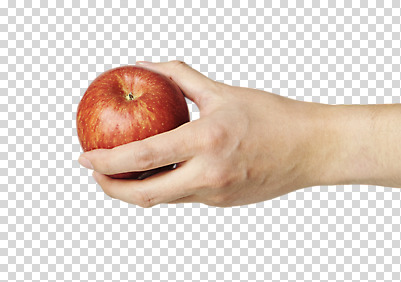 편집 편집이미지 손 들기 누끼 잡기 사과 PNG 편집소스 과일 모션 신체부위 파일형식