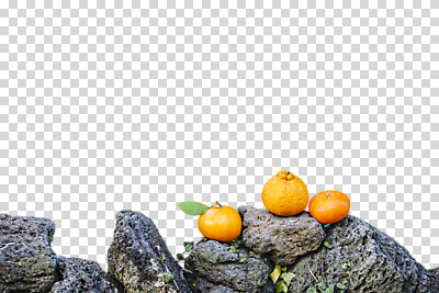 편집 편집이미지 귤 돌담 누끼 사람없음 돌_바위 바위 세개 한라봉 PNG 천혜향 편집소스 과일 3 담장 파일형식