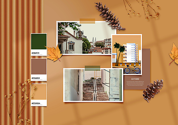 PSD 편집이미지 컬러 단풍 낙엽 유럽건축 사람없음 건물 갈색 계단 자전거 가을 분위기 솔방울 감성 안개꽃 드라이플라워 무드보드 이미지편집 건축물 디자인 계절 꽃 컨셉 잎 서양건축 바이크 한해살이풀 파일형식