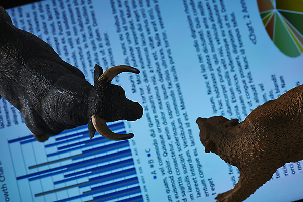 포토 JPG 스튜디오촬영 응시 비즈니스 곰 그래프 실내 사람없음 금융 경제 하이앵글 재테크 보고서 황소 동물모형 국내포토 동물 시선 뷰포인트 포유류 내부 모형 소 파일형식