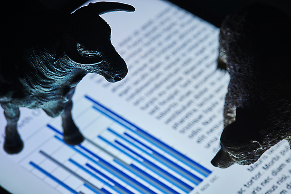 포토 JPG 스튜디오촬영 실루엣 비즈니스 곰 그래프 실내 사람없음 금융 경제 하이앵글 어둠 재테크 보고서 황소 동물모형 국내포토 동물 뷰포인트 포유류 촬영기법 내부 모형 소 파일형식