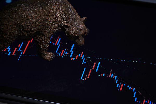 포토 JPG 스튜디오촬영 응시 비즈니스 곰 검은배경 그래프 실내 사람없음 금융 경제 하이앵글 어둠 하락 재테크 동물모형 주식시장 주식표 국내포토 동물 시선 뷰포인트 백그라운드 컨셉 포유류 내부 모형 검은색 주식 파일형식