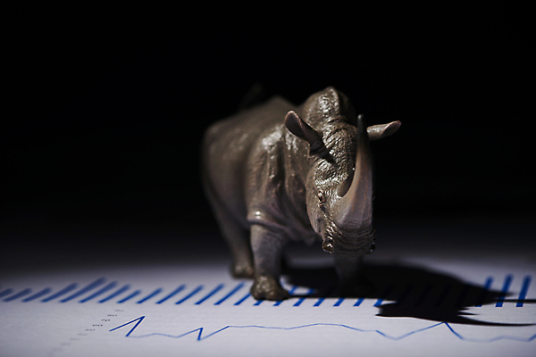 포토 JPG 스튜디오촬영 응시 비즈니스 검은배경 그래프 실내 그림자 사람없음 금융 경제 어둠 재테크 보고서 코뿔소 동물모형 국내포토 시선 백그라운드 포유류 내부 모형 검은색 파일형식