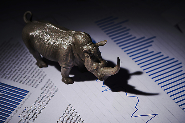 포토 JPG 스튜디오촬영 응시 비즈니스 그래프 실내 그림자 사람없음 금융 경제 하이앵글 어둠 재테크 보고서 코뿔소 동물모형 국내포토 시선 뷰포인트 포유류 내부 모형 파일형식