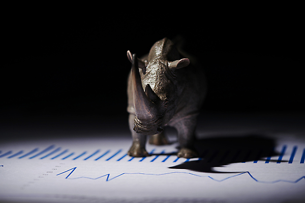 포토 JPG 스튜디오촬영 응시 비즈니스 검은배경 그래프 실내 그림자 사람없음 금융 경제 어둠 재테크 보고서 코뿔소 동물모형 국내포토 시선 백그라운드 포유류 내부 모형 검은색 파일형식