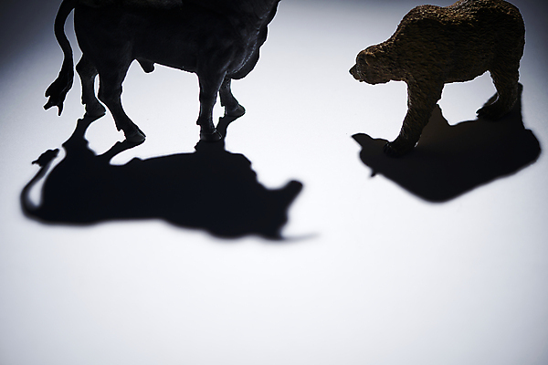 포토 JPG 스튜디오촬영 실루엣 비즈니스 곰 실내 그림자 사람없음 금융 경제 경쟁 재테크 흰배경 황소 동물모형 주식시장 국내포토 동물 백그라운드 컨셉 포유류 촬영기법 내부 모형 흰색 소 주식 파일형식