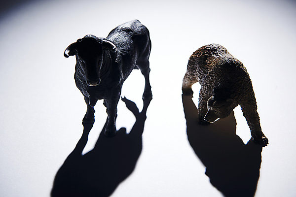 포토 JPG 스튜디오촬영 비즈니스 곰 실내 그림자 사람없음 금융 경제 경쟁 재테크 흰배경 황소 동물모형 대치 국내포토 동물 백그라운드 컨셉 포유류 내부 모형 흰색 소 파일형식