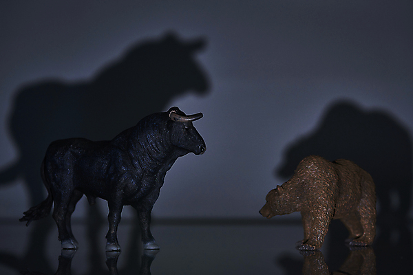 포토 JPG 스튜디오촬영 비즈니스 곰 검은배경 실내 그림자 사람없음 금융 경제 경쟁 재테크 황소 동물모형 대치 국내포토 동물 백그라운드 컨셉 포유류 내부 모형 검은색 소 파일형식