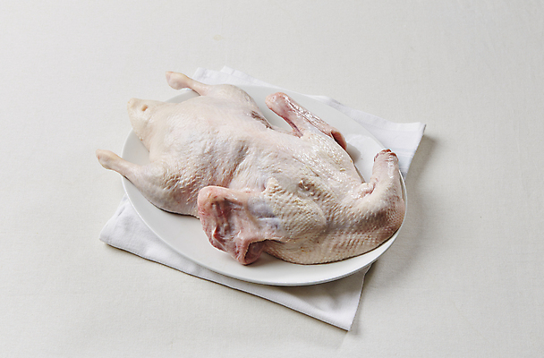 포토 JPG 실내 생고기 사람없음 흰배경 날것 오리고기 국내포토 백그라운드 오리 육류 내부 흰색 파일형식