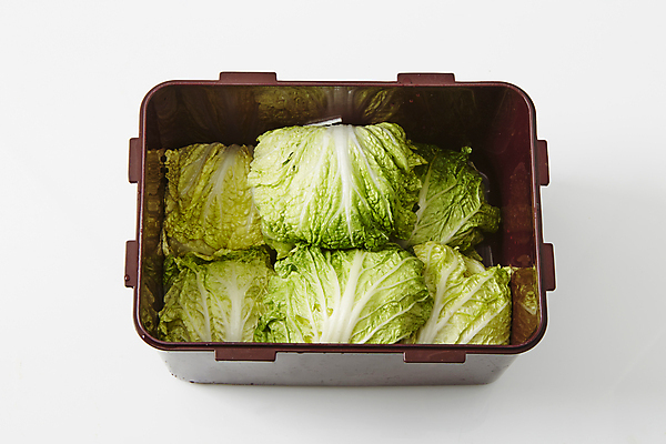 포토 JPG 사람없음 배추 흰배경 담기 김장재료 김치통 절임배추 국내포토 백그라운드 채소 식재료 모션 통 흰색 김장 파일형식