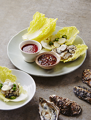 포토 JPG 회색배경 마늘 사람없음 굴 쌈 배추쌈 청양고추 초고추장 알배추 국내포토 백그라운드 채소 고추 어패류 회색 양념 배추 파일형식