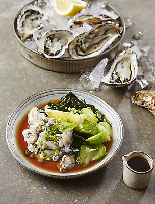 포토 JPG 회색배경 오이 사람없음 굴 레몬 간장 미역 쪽파 굴요리 절임 국내포토 음식 백그라운드 채소 과일 어패류 회색 양념 해조류 파 파일형식