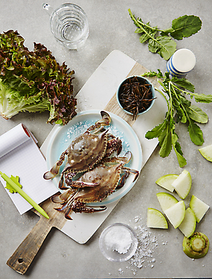 포토 JPG 식재료 회색배경 사람없음 펜 꽃게 메모지 무 해산물 물컵 소금 나무도마 열무 톳 적상추 국내포토 백그라운드 뿌리채소 도마 목재 컵 필기구 사무용품 회색 게 해조류 상추 파일형식