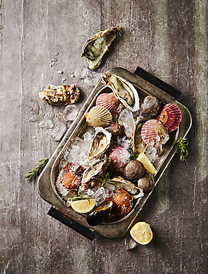 포토 JPG 조개 사람없음 얼음 굴 레몬 홍합 가리비 로즈메리 나무배경 국내포토 자연요소 백그라운드 과일 어패류 허브 파일형식