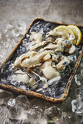 포토 JPG 사람없음 얼음 굴 레몬 해산물 국내포토 자연요소 과일 어패류 파일형식