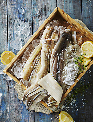 포토 JPG 어류 사람없음 얼음 장어 레몬 담기 소금 나무배경 국내포토 자연요소 백그라운드 과일 모션 수중동물 파일형식