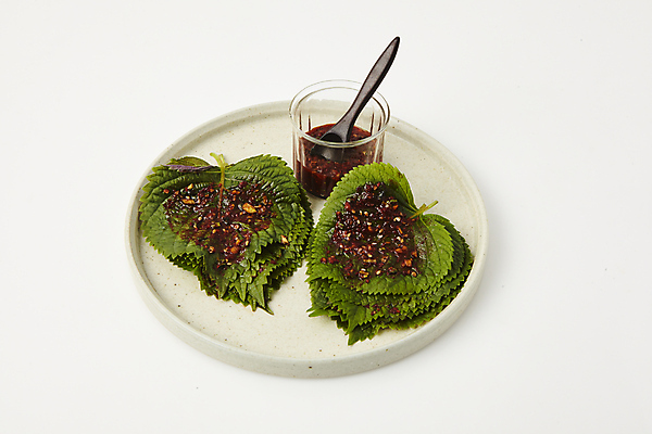 포토 JPG 반찬 사람없음 양념 흰배경 깻잎 깻잎절임 장아찌 국내포토 음식 백그라운드 채소 흰색 절임 파일형식