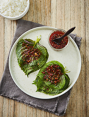 포토 JPG 밥 반찬 사람없음 양념 깻잎 깻잎절임 장아찌 나무배경 국내포토 음식 백그라운드 채소 절임 파일형식