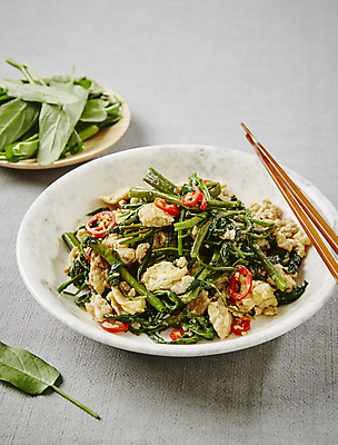 포토 JPG 그릇 젓가락 회색배경 실내 사람없음 볶음 태국음식 모닝글로리볶음 국내포토 식기 음식 백그라운드 수저 내부 회색 동양음식 파일형식