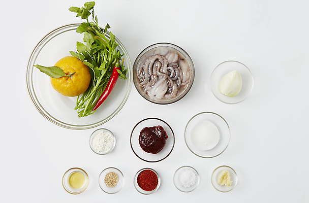 포토 JPG 식재료 양파 실내 사람없음 하이앵글 고추장 식용유 흰배경 홍고추 밀가루 소금 낙지 한라봉 미나리 고춧가루 다진마늘 산낙지 참깨 국내포토 뷰포인트 백그라운드 채소 과일 고추 연체동물 내부 수중동물 흰색 양념 기름_음식 가루 깨 파일형식