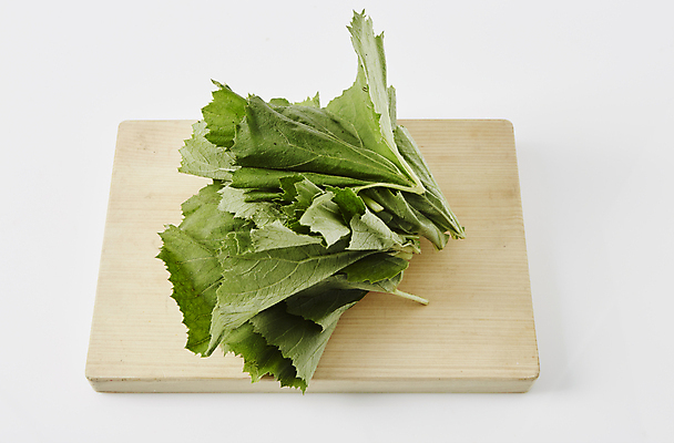 포토 JPG 채소 식재료 실내 사람없음 흰배경 나무도마 쌈채소 호박잎 국내포토 백그라운드 잎 도마 내부 목재 흰색 파일형식