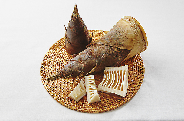 포토 JPG 식재료 뿌리채소 실내 사람없음 흰배경 죽순 국내포토 백그라운드 채소 내부 흰색 파일형식