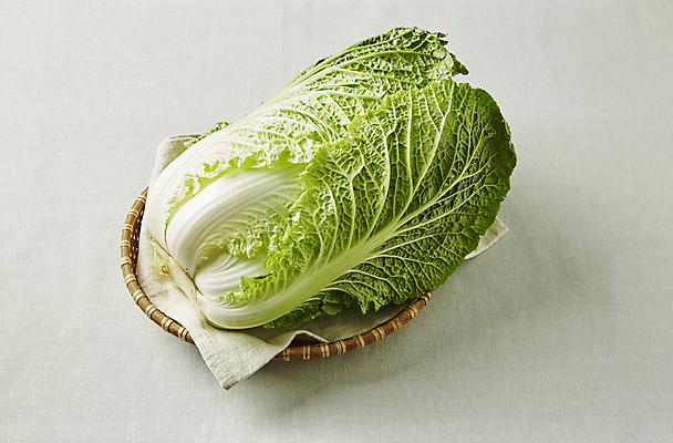 포토 JPG 식재료 회색배경 실내 사람없음 배추 통배추 국내포토 백그라운드 채소 내부 회색 파일형식