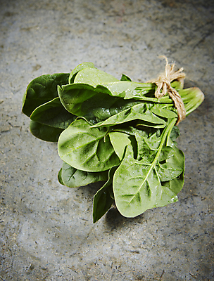 포토 JPG 채소 식재료 회색배경 실내 사람없음 시금치 노끈 국내포토 줄 백그라운드 내부 회색 파일형식