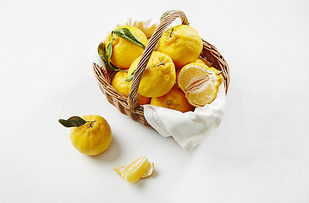 포토 JPG 식재료 실내 사람없음 흰배경 담기 한라봉 라탄바구니 국내포토 백그라운드 과일 모션 내부 바구니 흰색 파일형식