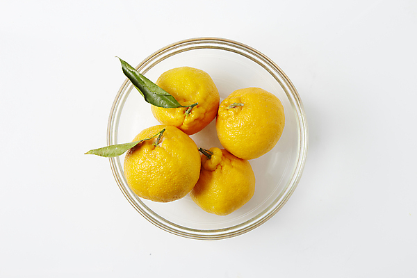 포토 JPG 식재료 실내 사람없음 하이앵글 흰배경 담기 유리그릇 한라봉 국내포토 그릇 뷰포인트 백그라운드 과일 모션 유리 내부 흰색 파일형식