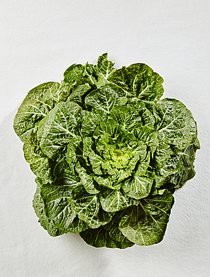 포토 JPG 채소 식재료 실내 사람없음 하이앵글 흰배경 봄동 국내포토 뷰포인트 백그라운드 내부 흰색 파일형식