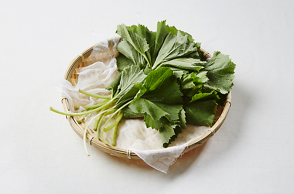 포토 JPG 채소 식재료 실내 사람없음 바구니 흰배경 쌈채소 호박잎 국내포토 백그라운드 잎 내부 흰색 파일형식
