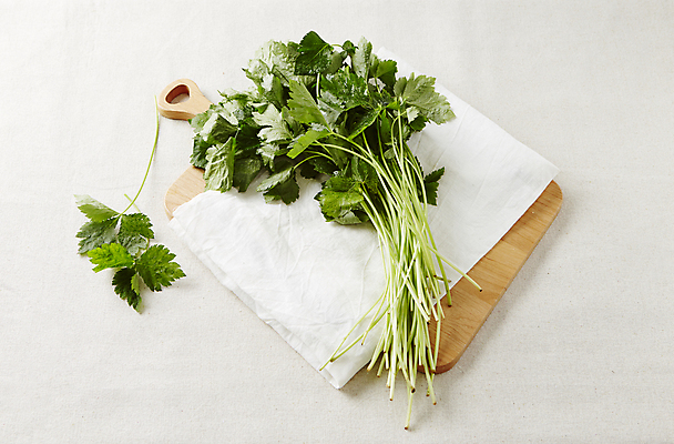 포토 JPG 채소 식재료 실내 사람없음 흰배경 나물 나무도마 참나물 국내포토 백그라운드 도마 내부 목재 흰색 파일형식