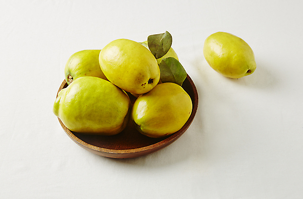 포토 JPG 과일 식재료 실내 사람없음 흰배경 모과 국내포토 백그라운드 내부 흰색 파일형식