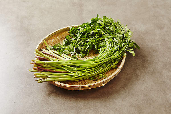 포토 JPG 채소 식재료 실내 사람없음 바구니 담기 미나리 갈색배경 국내포토 백그라운드 모션 내부 갈색 파일형식