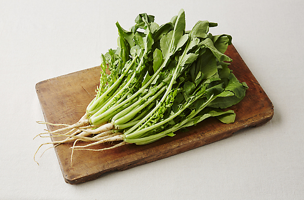 포토 JPG 채소 식재료 회색배경 실내 사람없음 나무도마 열무 국내포토 백그라운드 도마 내부 목재 회색 무 파일형식