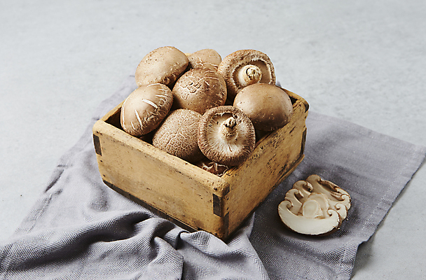 포토 JPG 식재료 회색배경 실내 사람없음 나무상자 담기 표고버섯 국내포토 백그라운드 모션 내부 상자 버섯 회색 파일형식