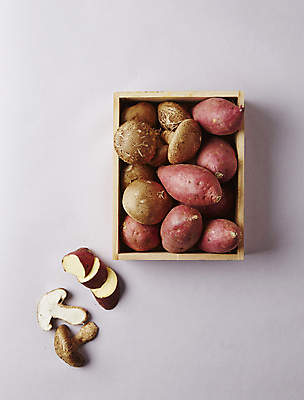 포토 JPG 식재료 회색배경 실내 사람없음 하이앵글 버섯 슬라이스 고구마 표고버섯 국내포토 뷰포인트 백그라운드 뿌리채소 내부 회색 파일형식