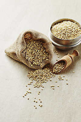 포토 JPG 식재료 회색배경 곡류 실내 사람없음 보리 자루 스쿱 찰보리 국내포토 백그라운드 내부 회색 파일형식