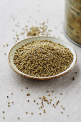 포토 JPG 식재료 회색배경 실내 사람없음 아웃포커스 깨 들깨 국내포토 백그라운드 촬영기법 내부 회색 조미료 파일형식