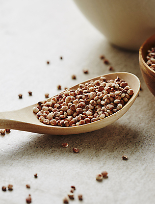 포토 JPG 식재료 회색배경 곡류 실내 근접촬영 사람없음 아웃포커스 나무숟가락 수수 국내포토 뷰포인트 백그라운드 촬영기법 내부 숟가락 회색 파일형식