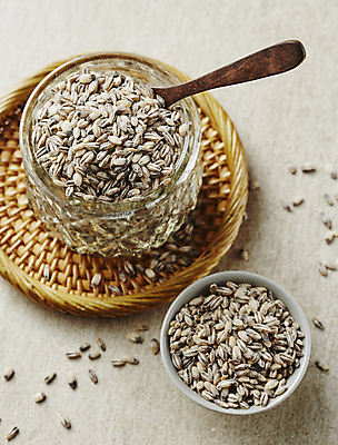 포토 JPG 식재료 회색배경 실내 사람없음 담기 보리 찰보리 흑보리 국내포토 백그라운드 모션 곡류 내부 회색 파일형식