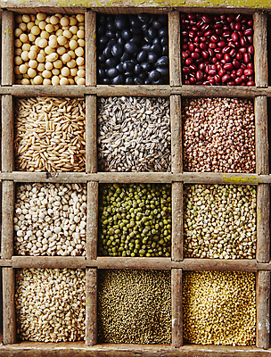 포토 JPG 식재료 콩 실내 사람없음 하이앵글 여러개 메밀 담기 잡곡 팥 검은콩 녹두 들깨 메주콩 수수 율무 조 귀리 흑보리 국내포토 뷰포인트 다수 모션 곡류 내부 보리 깨 파일형식