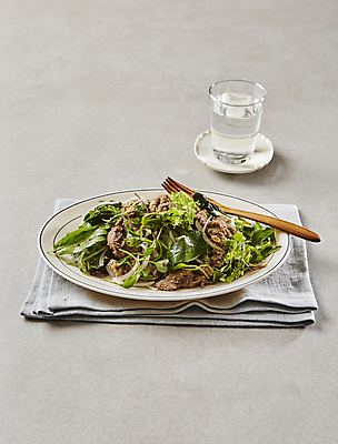 포토 JPG 회색배경 실내 사람없음 샐러드 소고기샐러드 소불고기 샐러드채소 국내포토 음식 백그라운드 채소 내부 회색 불고기 파일형식