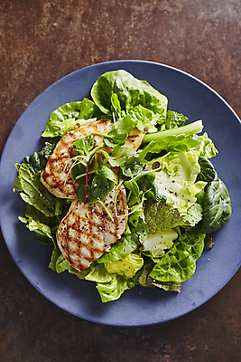 포토 JPG 실내 사람없음 닭고기 샐러드 소스 양상추 닭가슴살 로메인 어린잎 국내포토 꽃 음식 잎 채소 육류 내부 양념 파일형식