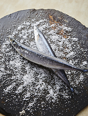 포토 JPG 사람없음 해산물 준비 소금 꽁치 돌판 학꽁치 국내포토 어류 돌_바위 파일형식