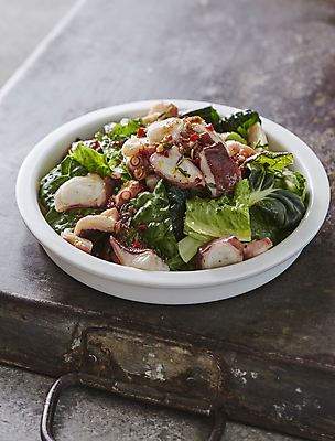 포토 JPG 사람없음 샐러드 소스 홍고추 문어 겨자채 다채 로메인 나무배경 국내포토 꽃 음식 백그라운드 채소 고추 연체동물 수중동물 양념 파일형식